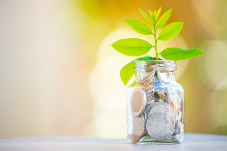 plant-growing-savings-coins-interest-concept
